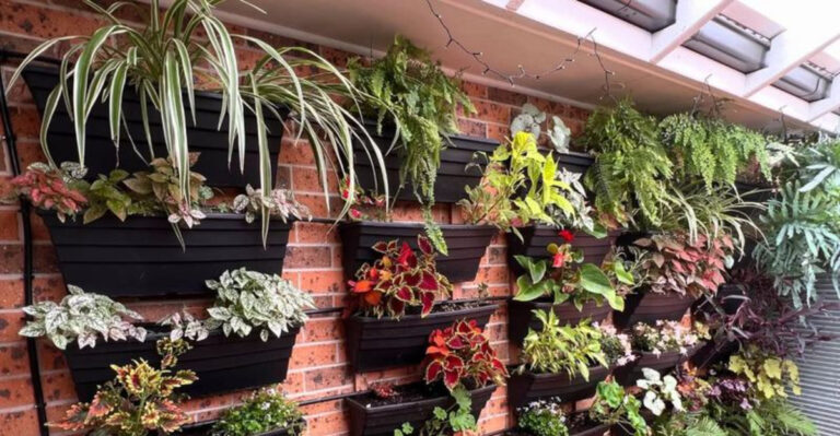 vertical gardening (featured image)