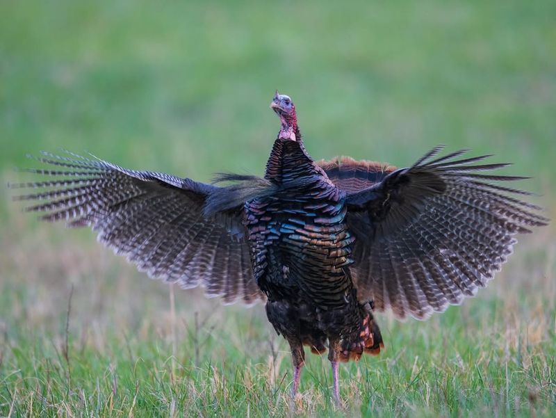 Use Passive Deterrents To Discourage Lingering