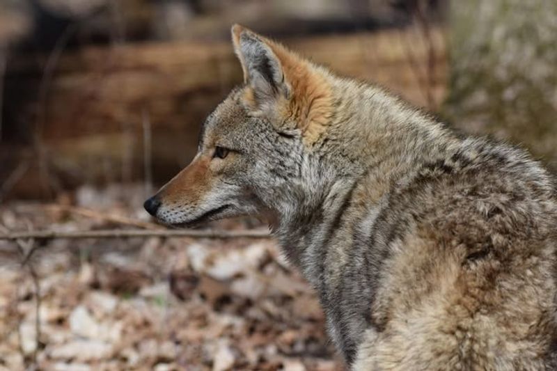 Educate Neighbors And Stay Aware