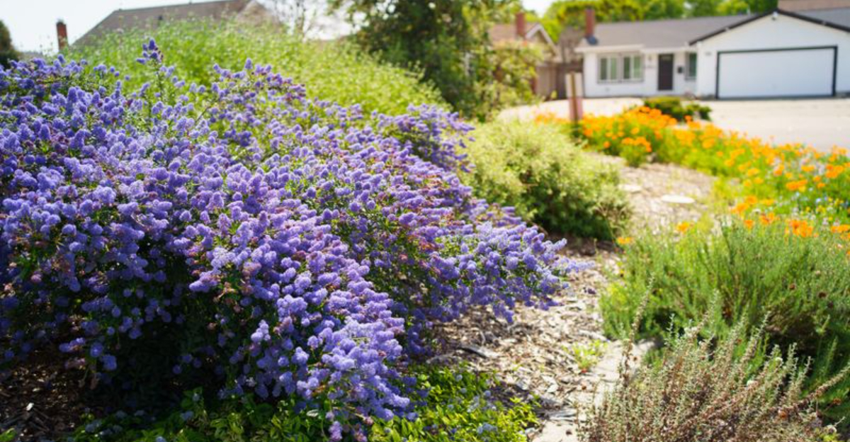 New Jersey Homeowners Are Leaning Into A “Curated Wildness” Design