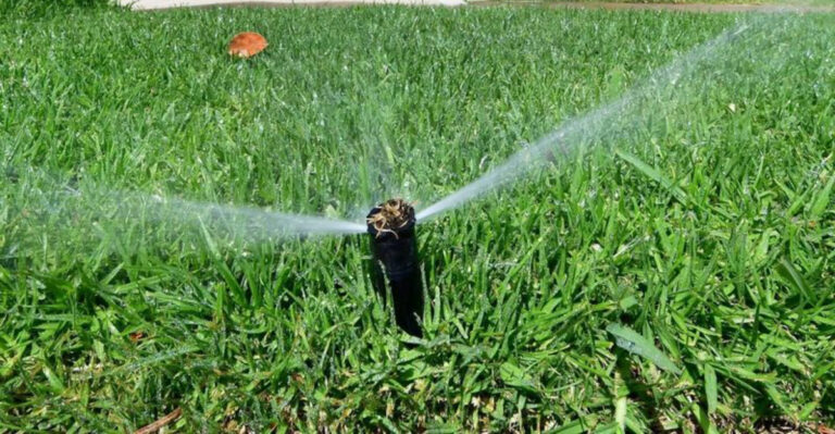 sprinkler on grass lawn