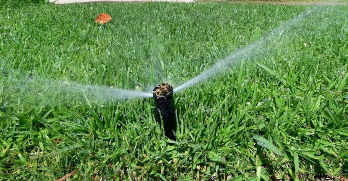 New Lawn Regulations Texas Homeowners Must Follow In 2026