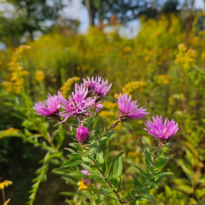 Rebate Amounts Can Cover Up to Half Your Project Costs