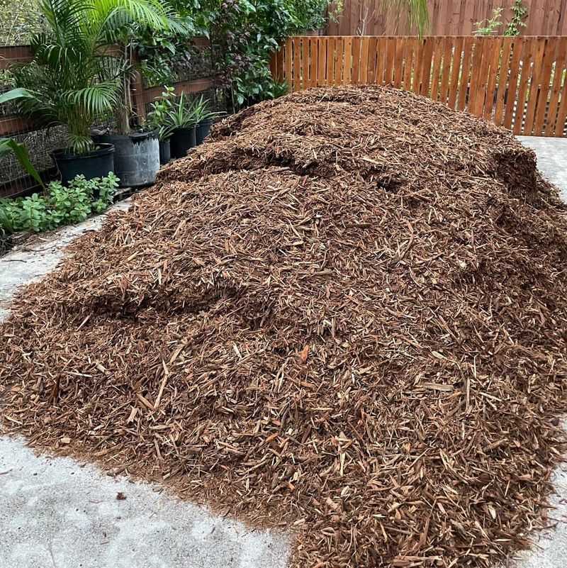 Affordable Remediation Methods Help Homeowners Take Action