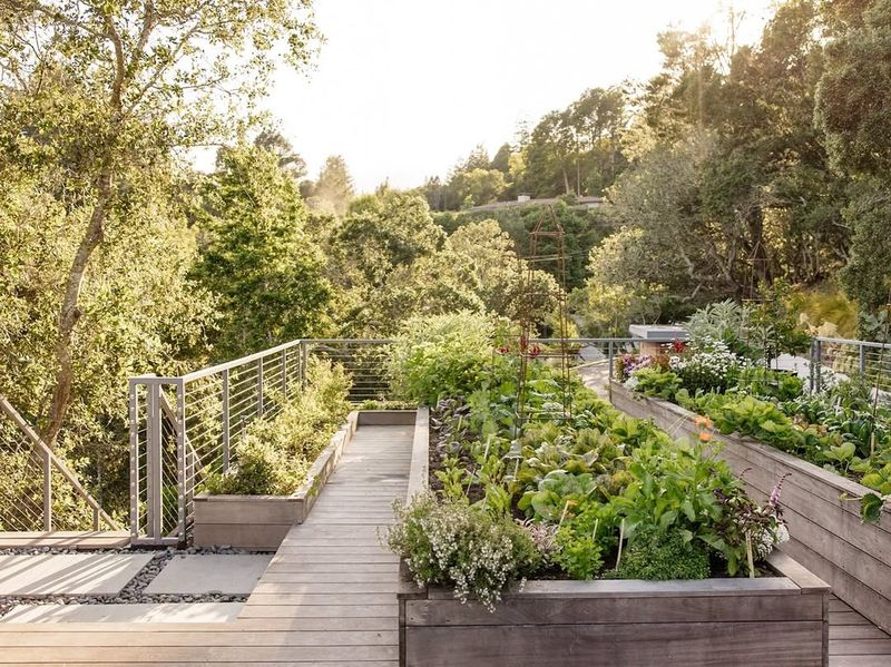 Rooftop Container Gardens