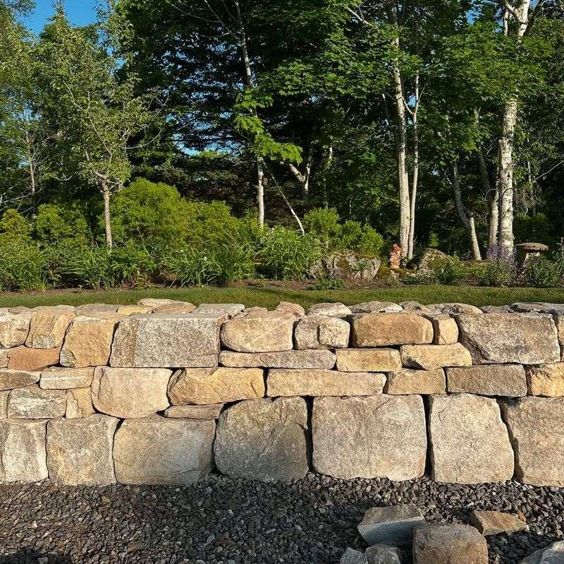 Stone Walls And Rock Piles Shelter Reptiles