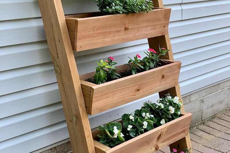 Ladder Shelves Displaying Potted Plant Collections