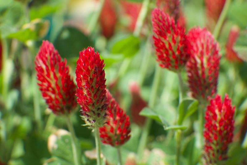 Erosion Control Protects Valuable Topsoil