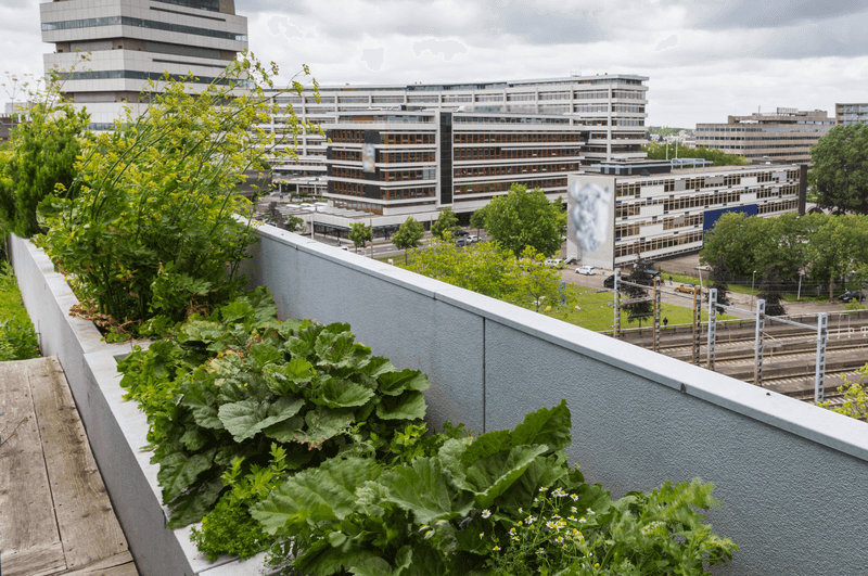 Building Codes Support Sustainability