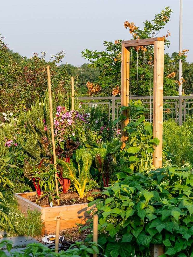 Food Production and Urban Gardening Opportunities