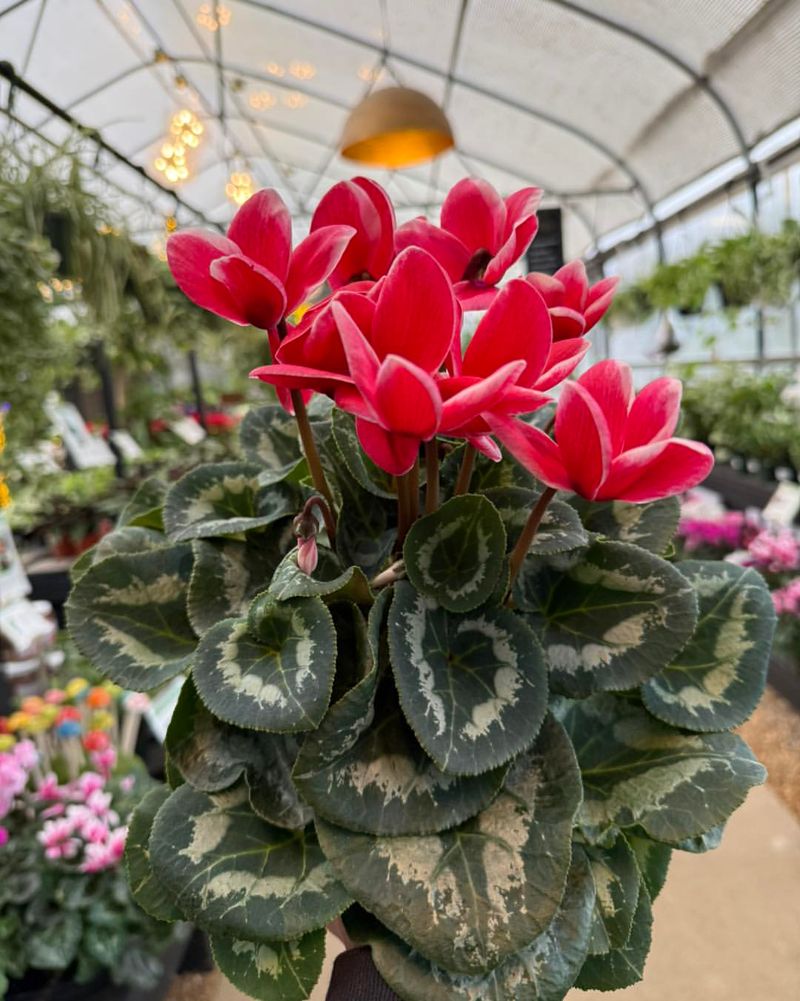 Dry Indoor Air From Heating Systems