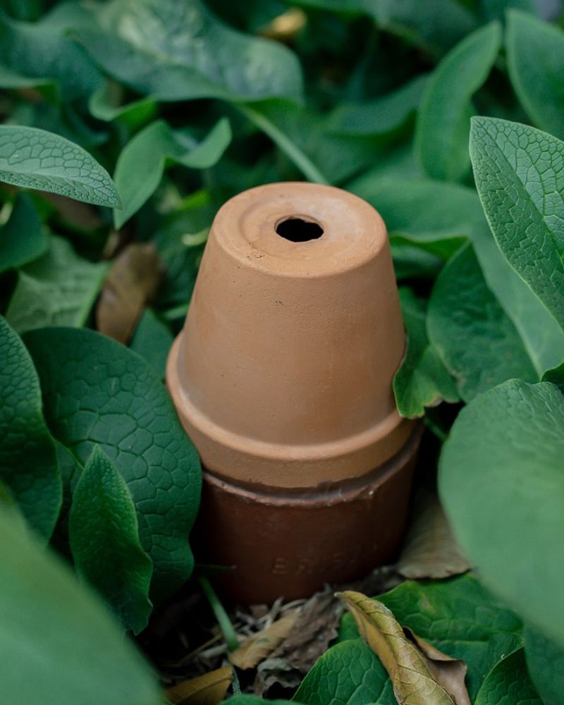 Water Bills Drop Dramatically With Smart Irrigation