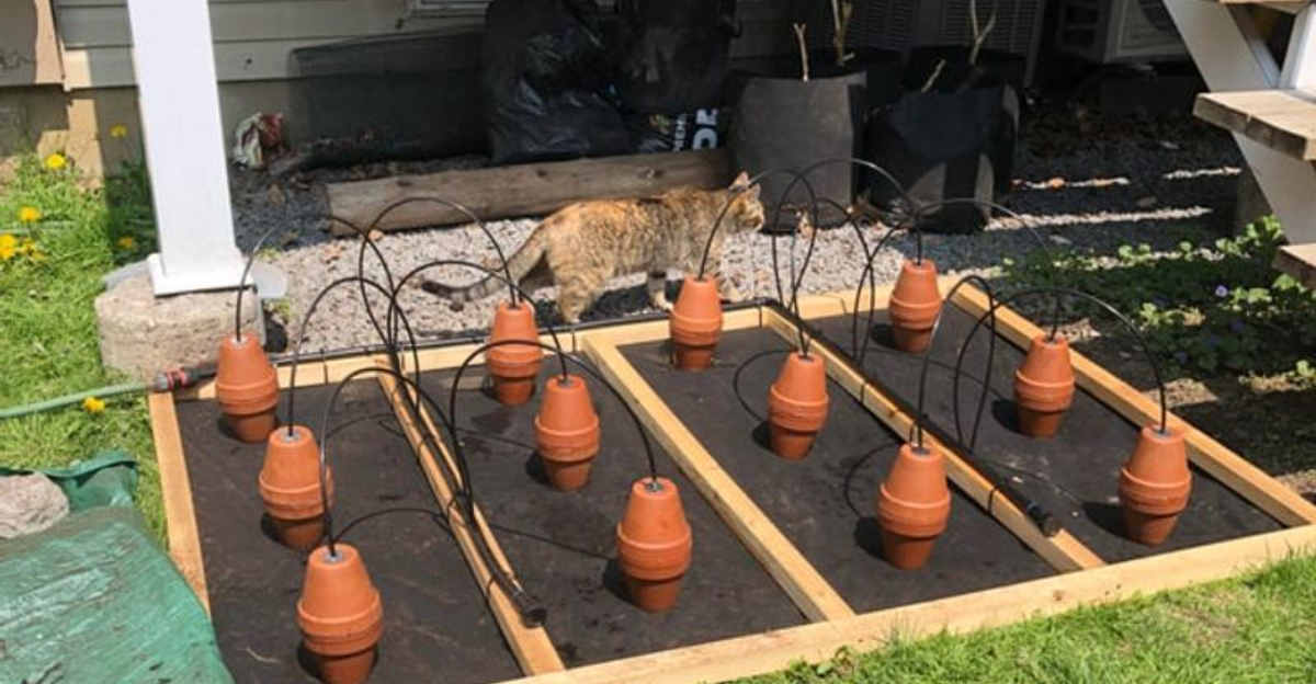 North Carolina Gardeners Are Using This Water-Wise Hack To Cut Bills Fast