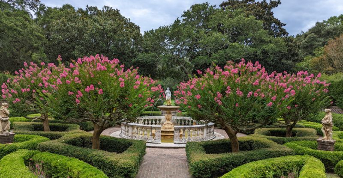 North Carolina’s Most Peaceful Nature Retreats For Plant Lovers