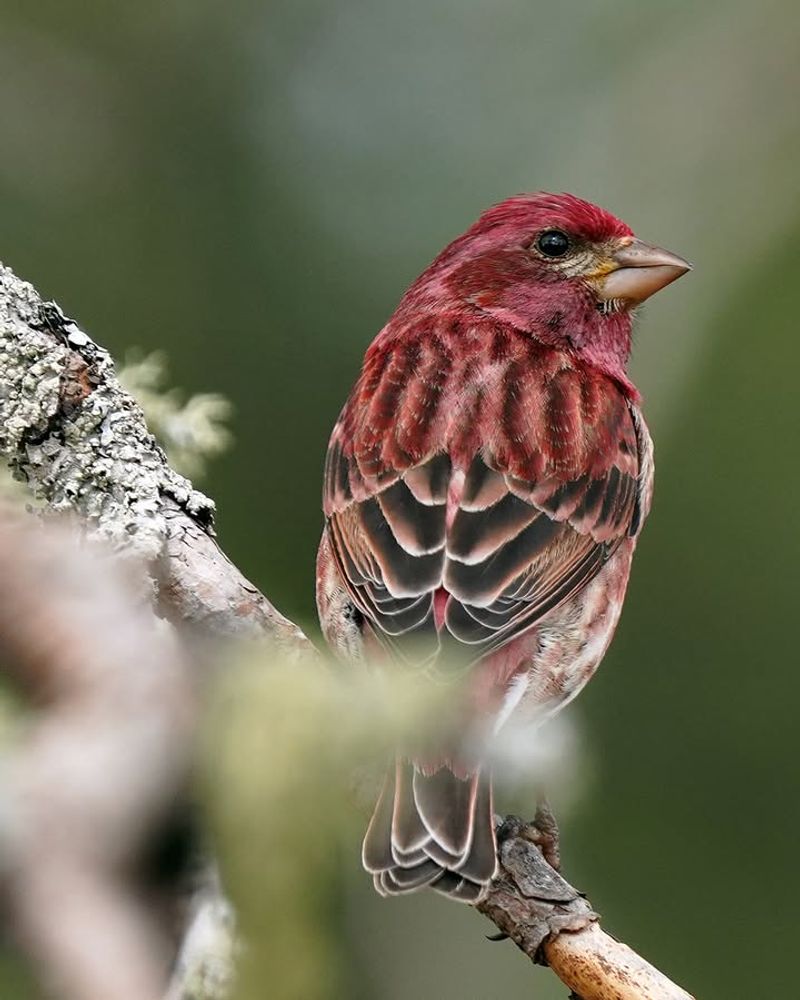 Ideal Weather Conditions In Tennessee