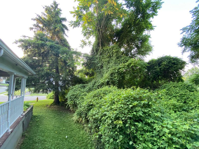 Damage to the Source Plant May Create Liability Issues