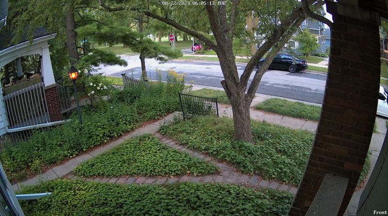 Municipal Ordinances Governing Weed Height And Growth