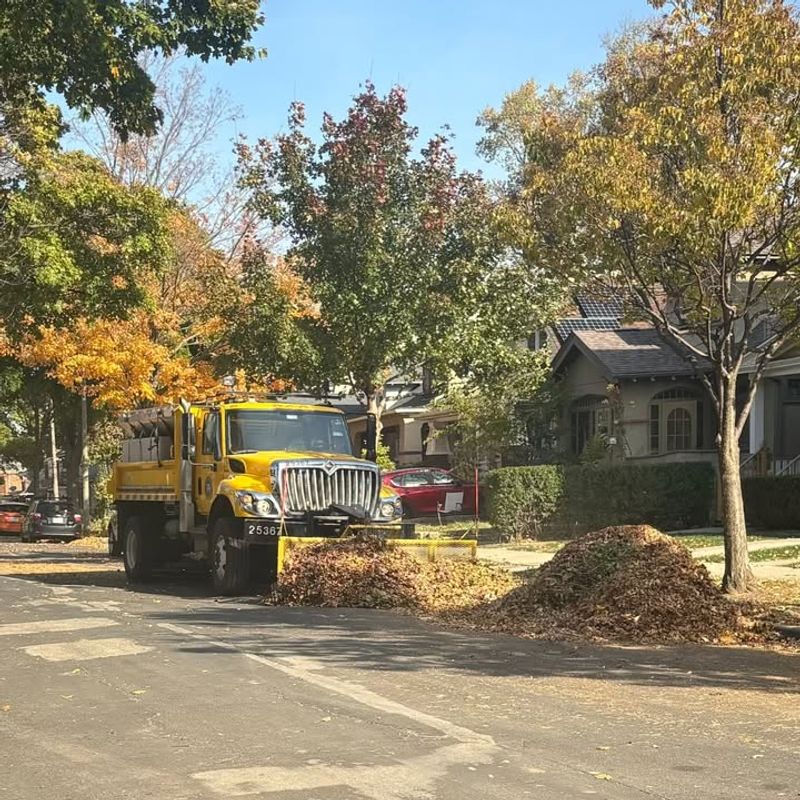 Municipalities May Have Additional Leaf Regulations