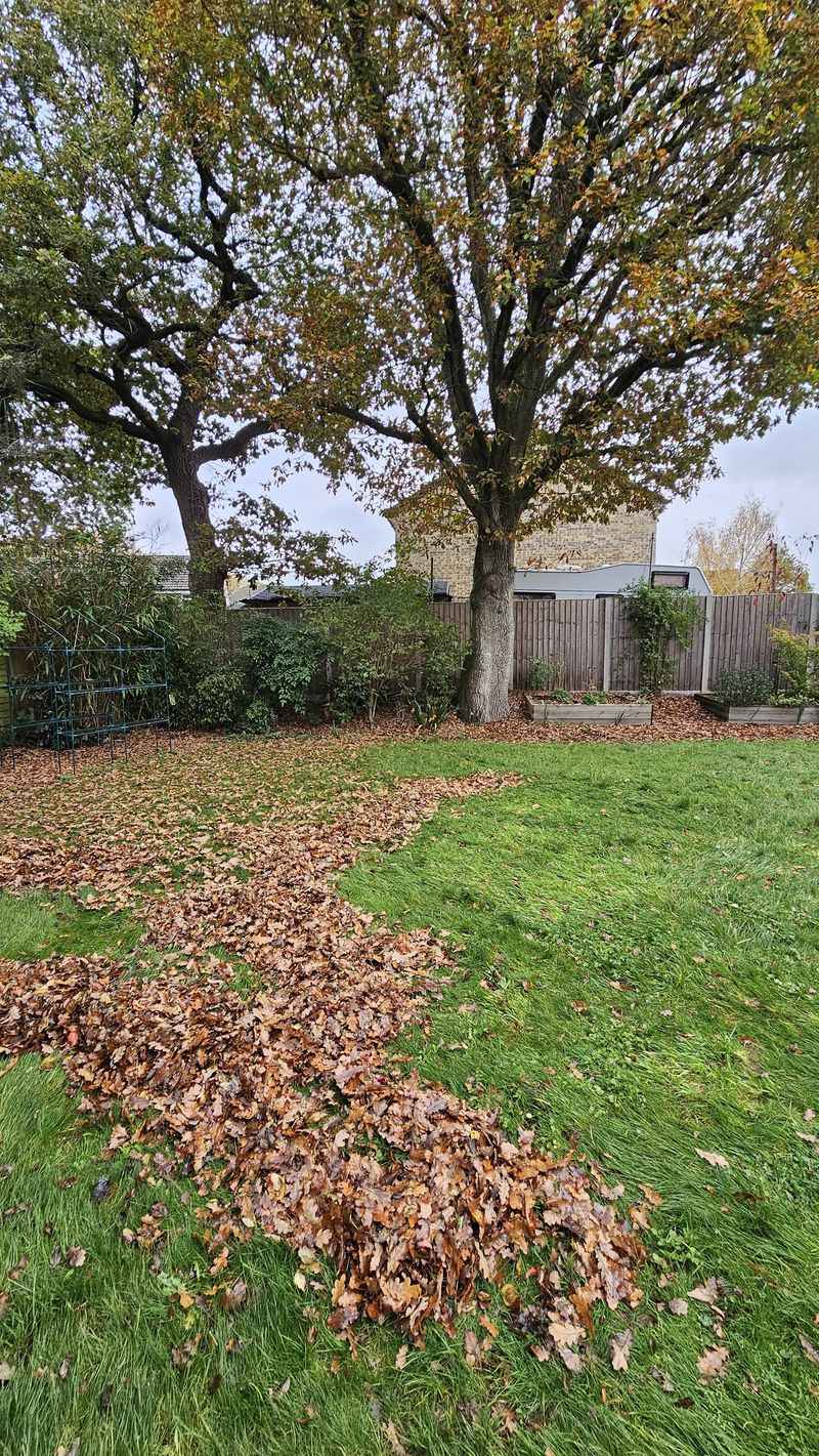 Homeowner Associations May Have Special Rules