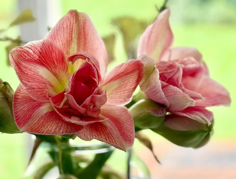 Temperature Fluctuations And Cold Drafts