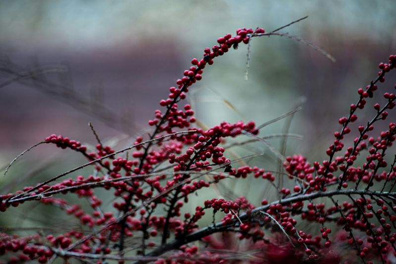 Alkaline Water Sources