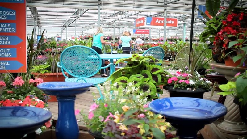 Natorp's Garden Center - Cincinnati