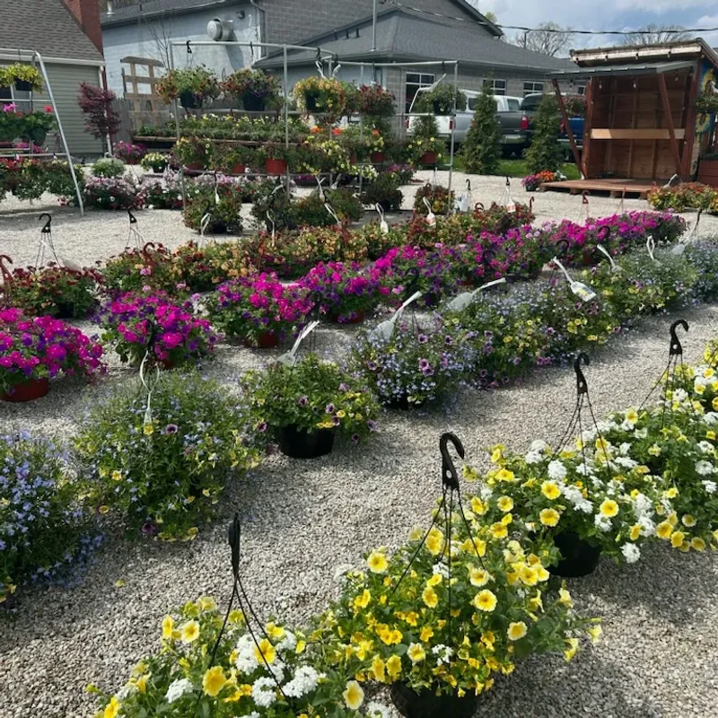 More Time To Research And Plan Your Garden