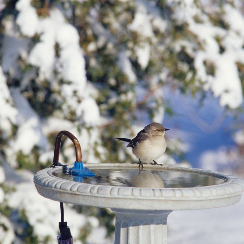 Provide Unfrozen Water When Temperatures Drop