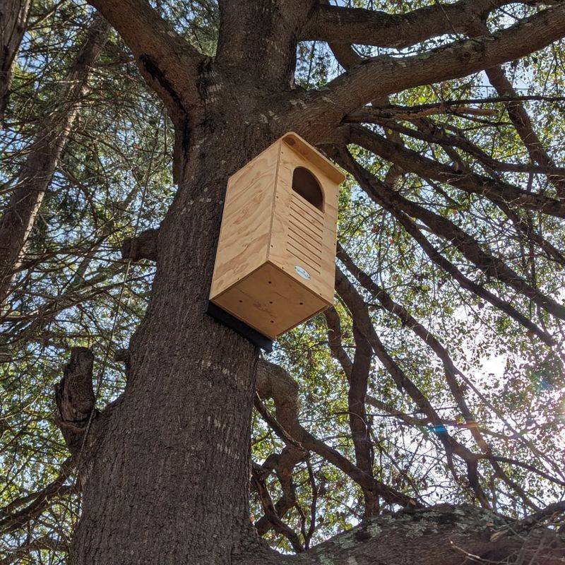 Add Nesting Boxes Carefully