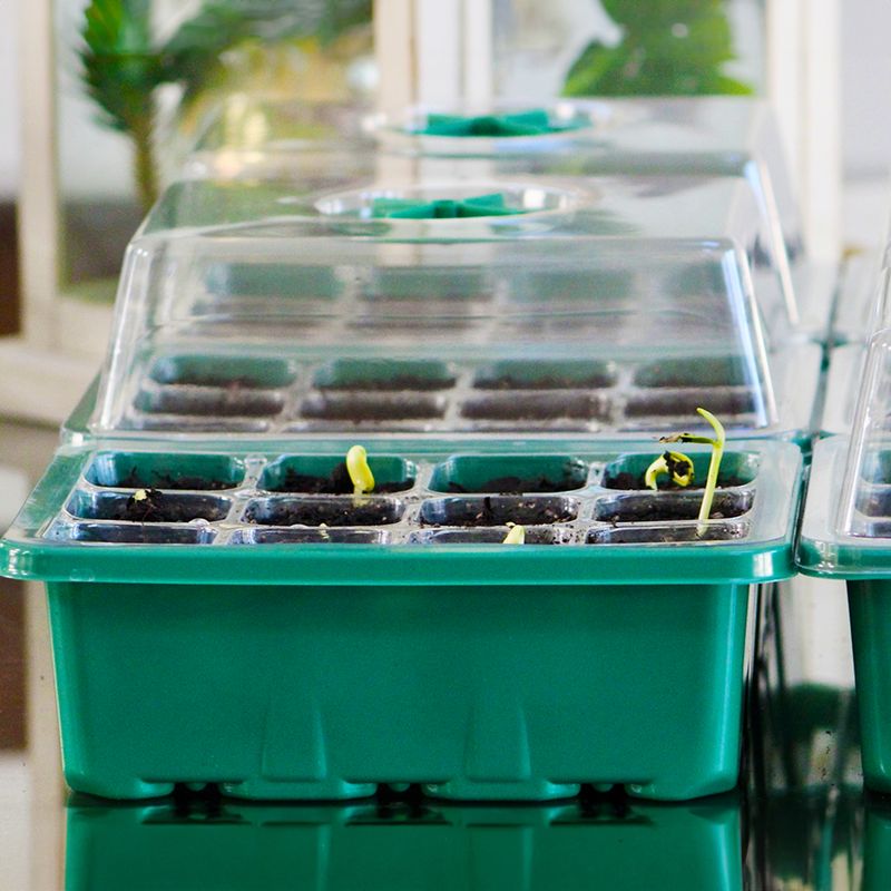 Propagation Boxes With Controlled Humidity Levels