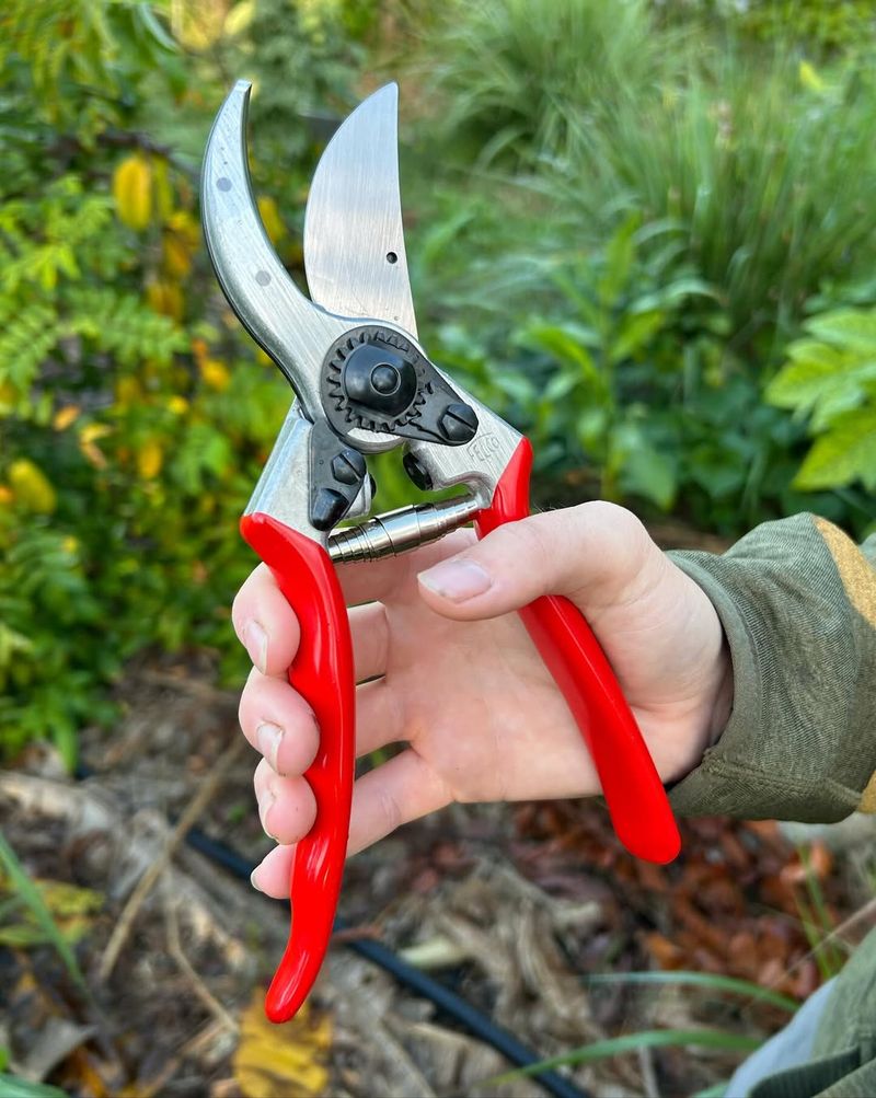 Blade Design Sets Them Apart