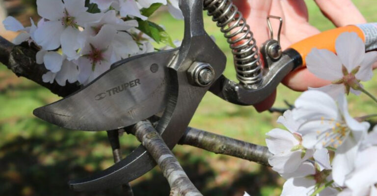 pruning tool