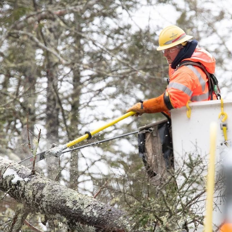 Your Right To Self-Help Remedies