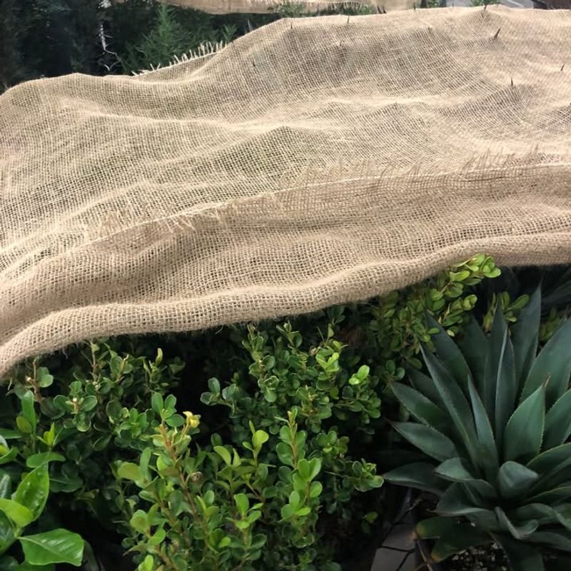 Burlap Sacks and Fabric