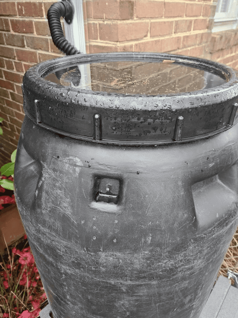 Standing Water Containers