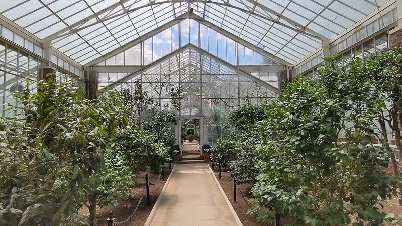 Planting Fields Arboretum Camellia Greenhouse