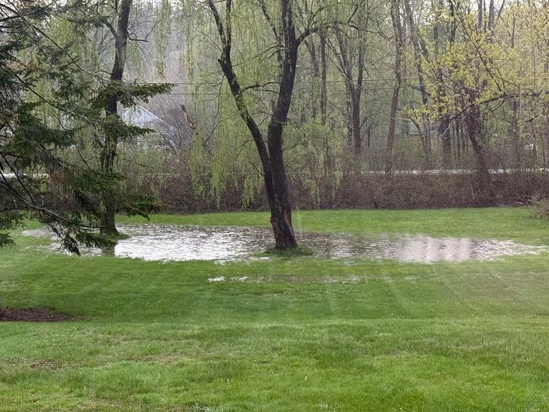 In Low-Lying Areas That Flood