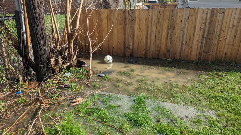 In Poorly Drained or Flood-Prone Areas