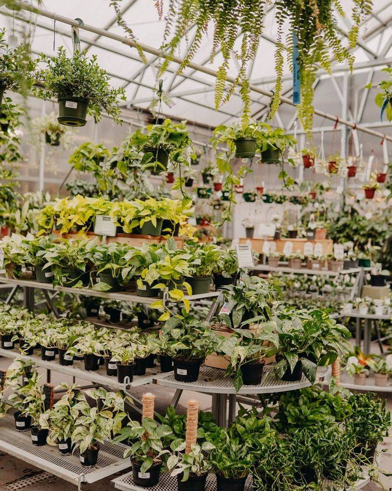 Garden Shows and Expos Happen During Cold Months