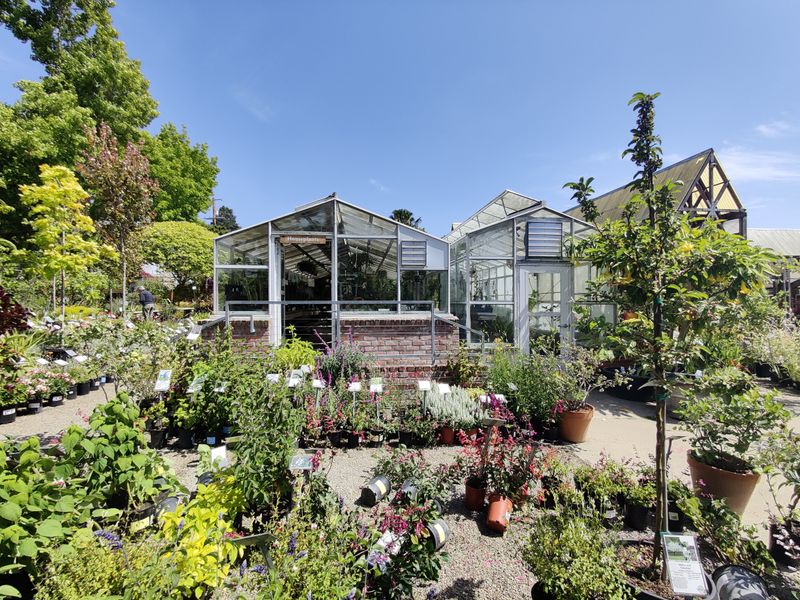 Berkeley City Hall Plaza