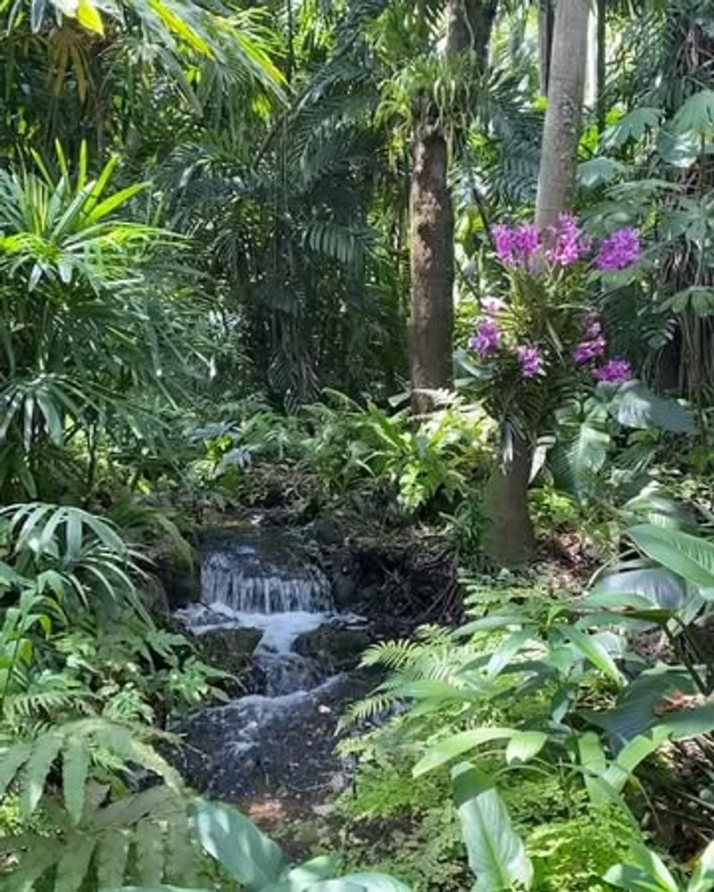Rainforest Exhibit Recreating Jungle Environments
