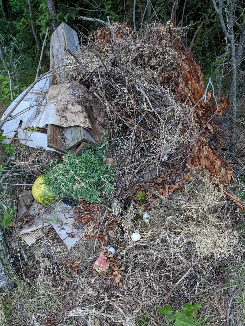 Visible Trash and Debris Piles