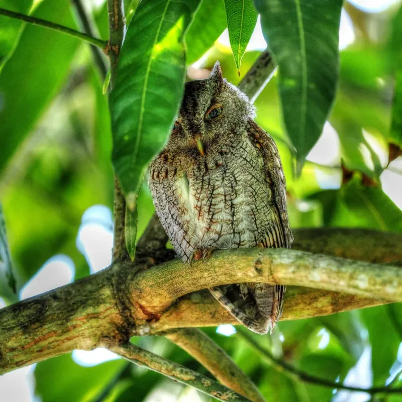 Water Sources Remain Accessible In Yards