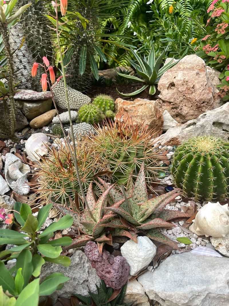Xeriscaping For Water Conservation