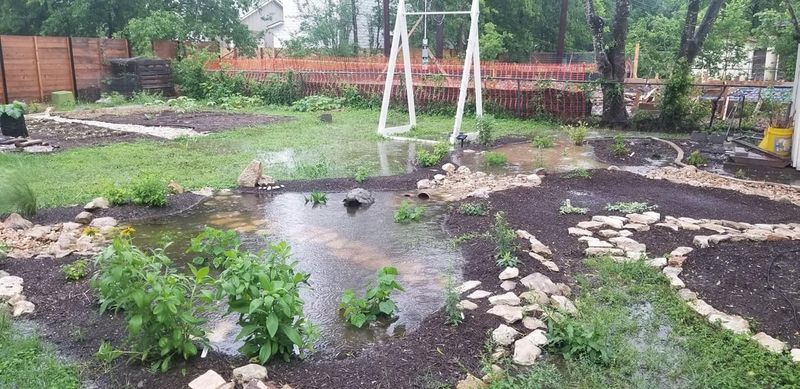 Rain Gardens and Bioswales