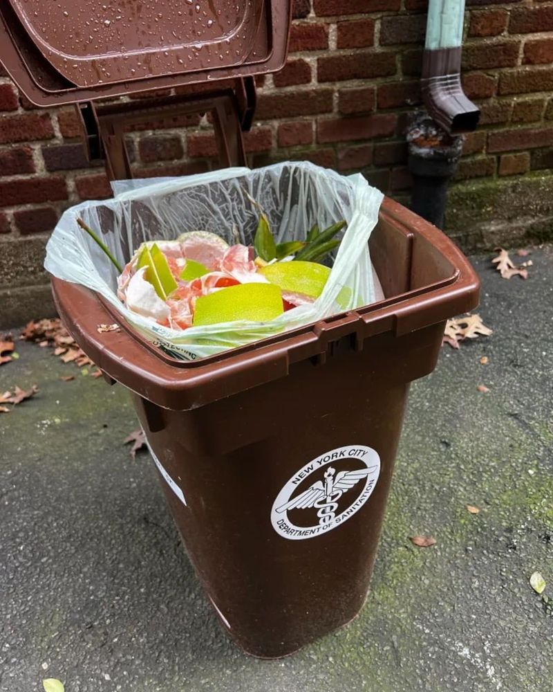 Unsecured Garbage and Compost Bins