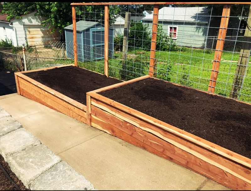 Shared Fence Maintenance Responsibilities Apply To Crops Too