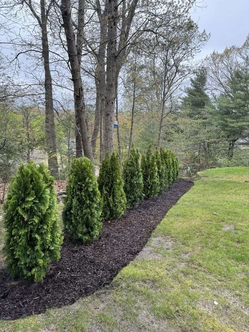 Fertilizing Right Before Winter Arrives