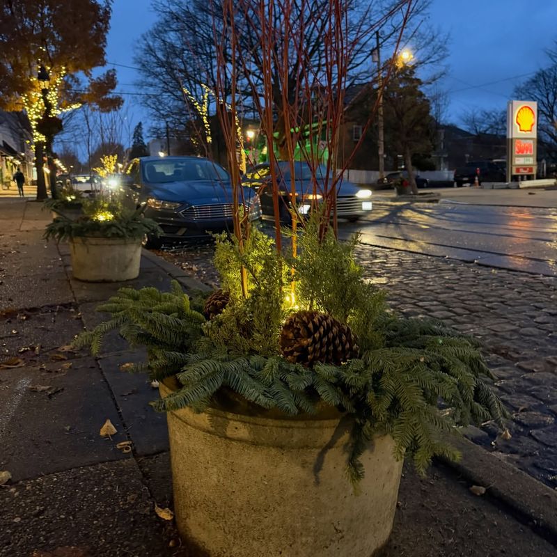 Yard Features That Obstruct Public Easements Or Sidewalks