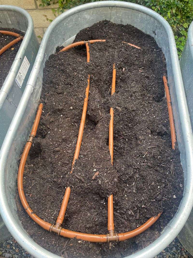 Disturbed Garden Beds And Uprooted Plants